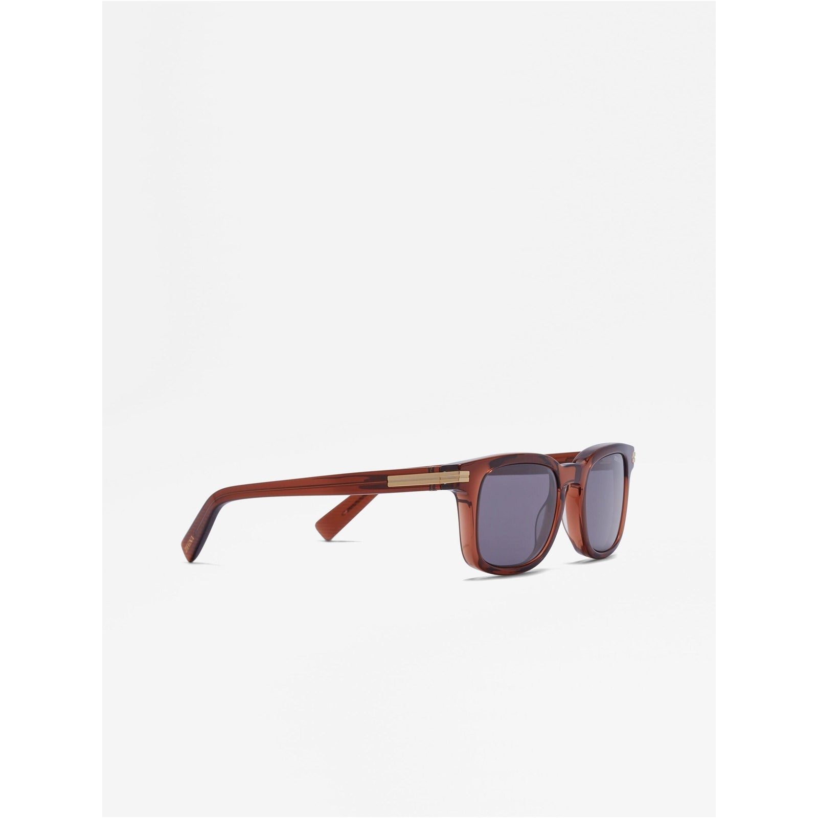 ZEGNA TRANSPARENT BROWN ACETATE SUNGLASSES