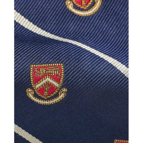 Load image into Gallery viewer, RALPH LAUREN Striped Silk Repp Club Tie
