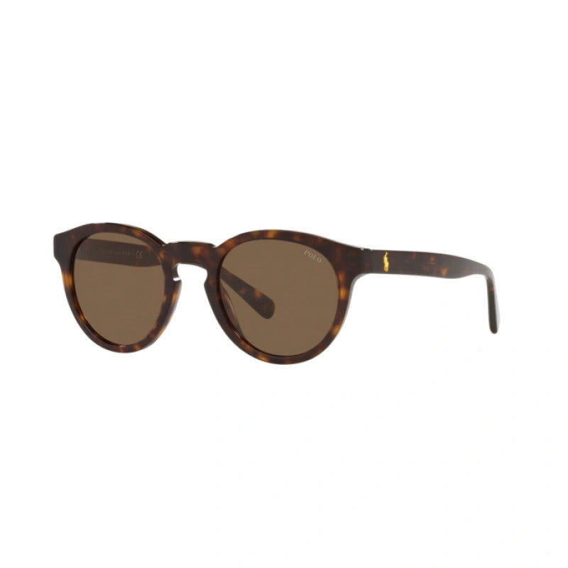 POLO RALPH LAUREN SUNGLASSES - Yooto