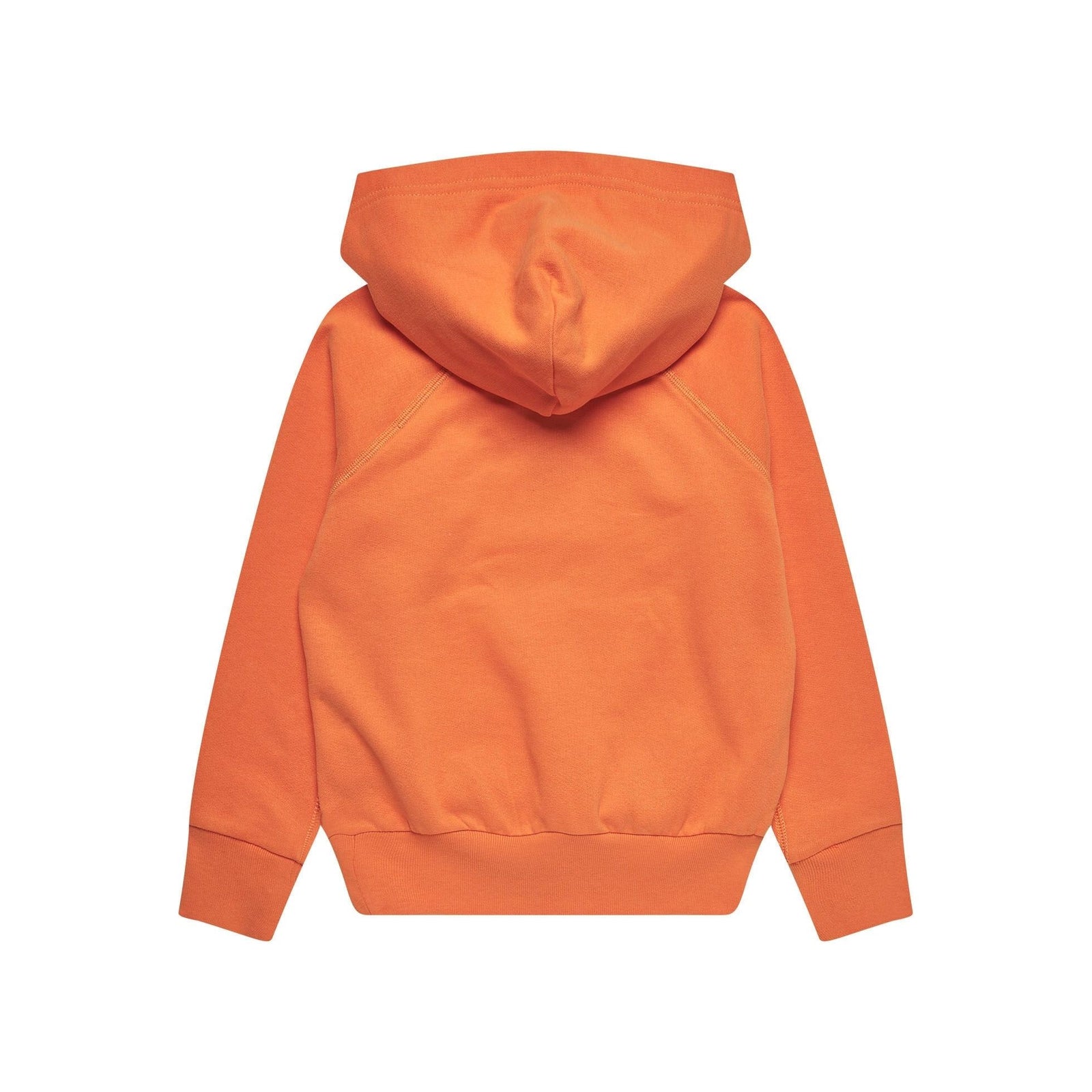 POLO RALPH LAUREN HOODIE - Yooto