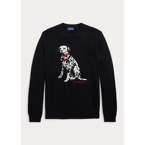 Load image into Gallery viewer, POLO RALPH LAUREN DALMATIAN INTARSIA-KNIT CASHMERE JUMPER - Yooto
