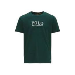 Load image into Gallery viewer, POLO RALPH LAUREN T-SHIRT WITH LOGO - Yooto
