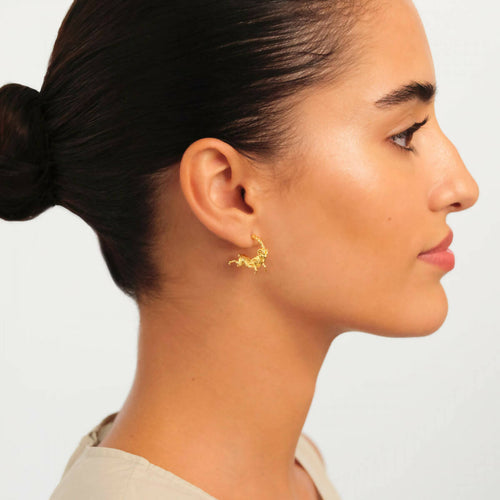 Load image into Gallery viewer, ARIES ZODIAC SIGN HOOPS EARRINGS - Yooto
